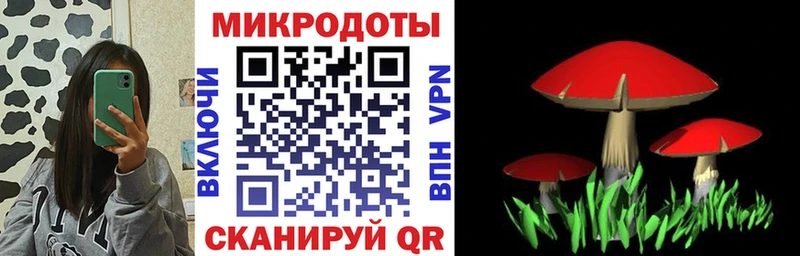 Псилоцибиновые грибы ЛСД  Карасук 