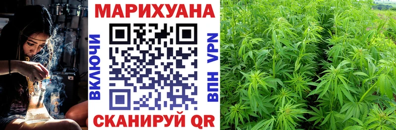 мега ссылки  даркнет сайт  Карасук  Канабис марихуана 